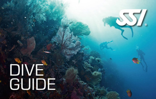 SSI Dive Guide Tauchausbildung