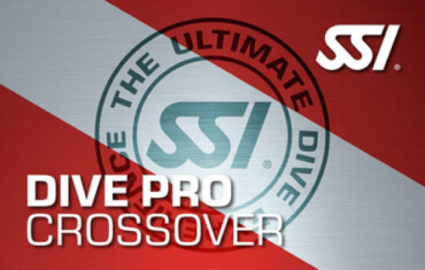 SSI Cross-Over Ausbildung