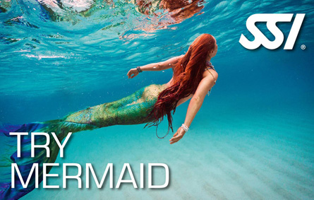 Try Mermaid Tauchkurs